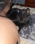 Анкета проститутки Леночка - метро Коптево, возраст - 21